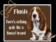 Basset hound - Flash (Jessi)
