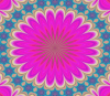 Mandala Pink Background