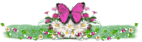 Daisies and Butterfly-Divider