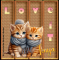 Two Kitties Love it - Tonya