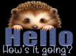 Peeking hedgehog - Hello