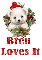Christmas Bear - Bren