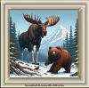 Moose and Bear 