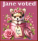 Chihuahua - Jane voted for you