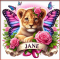 Lioness - Jane 