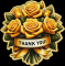 Yellow roses - thank you