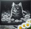 Cat sitting in daisies