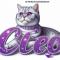 Cleo my cat