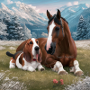 Horse and basset hound 